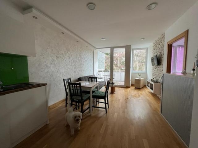 Schoenbrunn Luxury Apartment Wien Eksteriør billede